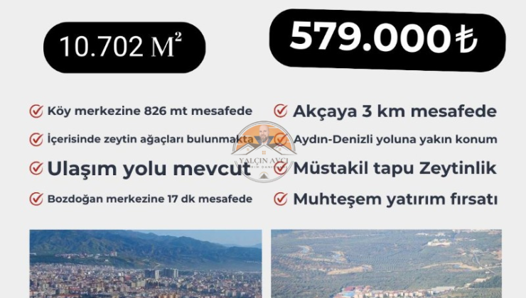 Aydın Bozdoğan Osmaniye’de 10.702 m² Müstakil Tapulu Zeytinlik: Muhteşem Yatırım Fırsatı