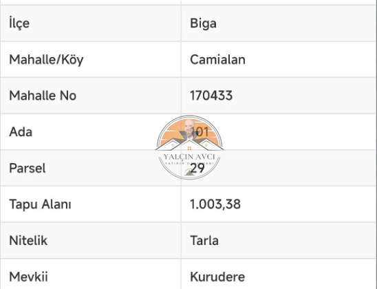 Çanakkale Biga Camialan’da 1.003 m² Tarla: Yatırım İçin İdeal Fırsat