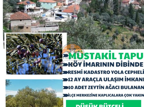 İzmir Bayındır’da 402 m² Yatırımlık Zeytinlik Arazi: Ege’nin Zeytin Diyarı