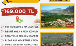 Bilecik Söğüt Ortaca’da Yatırımlık Müstakil Tapulu Tarla