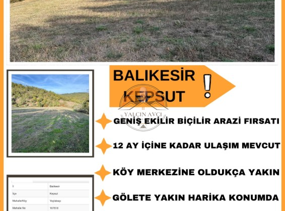 Balıkesir Kepsut Yaylabayır’da 6.263 m² Müstakil Tapulu Tarla – Yatırım İçin Kaçırılmayacak Fırsat
