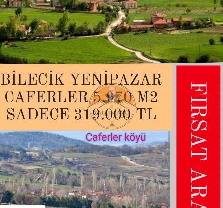 Bilecik Yenipazar Caferler’de 5.970 m² Müstakil Tapulu Tarla – Yatırım İçin Kaçırılmayacak Fırsat