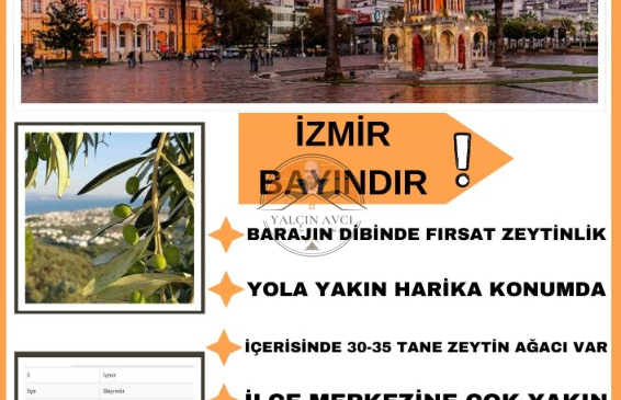 İzmir Bayındır’da Yatırımlık Zeytinlik – Doğayla İç İçe Kazanç Fırsatı