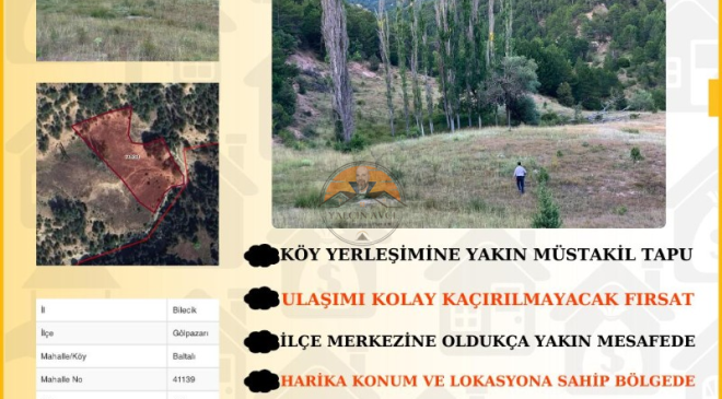 Bilecik Gölpazarı Baltalı’da Müstakil Tapulu Tarla – Yatırım İçin Kaçırılmayacak Fırsat
