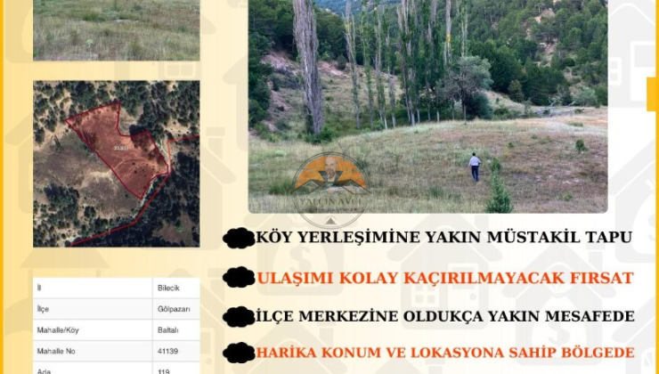 Bilecik Gölpazarı Baltalı’da Müstakil Tapulu Tarla – Yatırım İçin Kaçırılmayacak Fırsat
